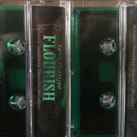 seechange - Flourish (Cassette) - Thumbnail 2