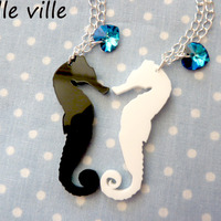 Sea horse - Thumbnail 4