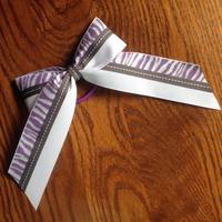 Grab Bag- Tall and Thin or Standard Double Bow - Thumbnail 1