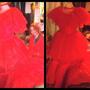 Lydia Deetz Beetlejuice Red Wedding Dress- Costume -Cosplay-bridal-halloween-3