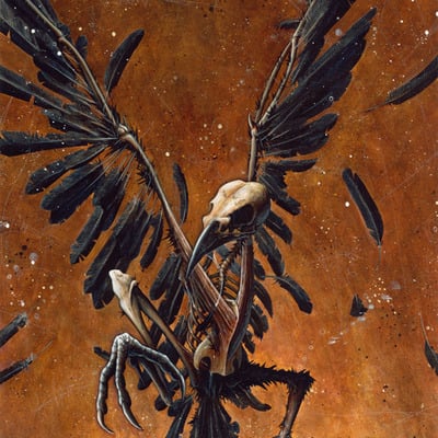 Feathers and fury print