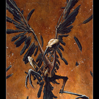 Feathers and Fury Print - Thumbnail 1