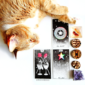 The Wild Unknown Tarot & Guidebook Set (First Edition) - Thumbnail 3