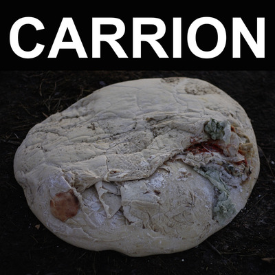 Recitation - carrion [lp]