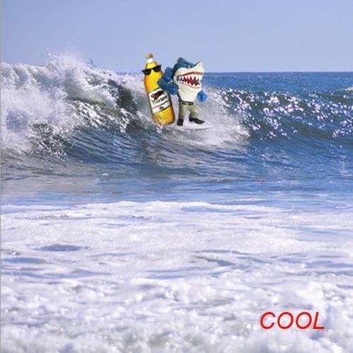 GOTTEM - "Cool" (12")