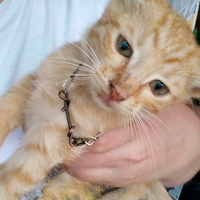 Straight Lines bracelet - Thumbnail 2