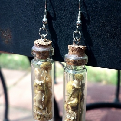 Sweet dreams earrings