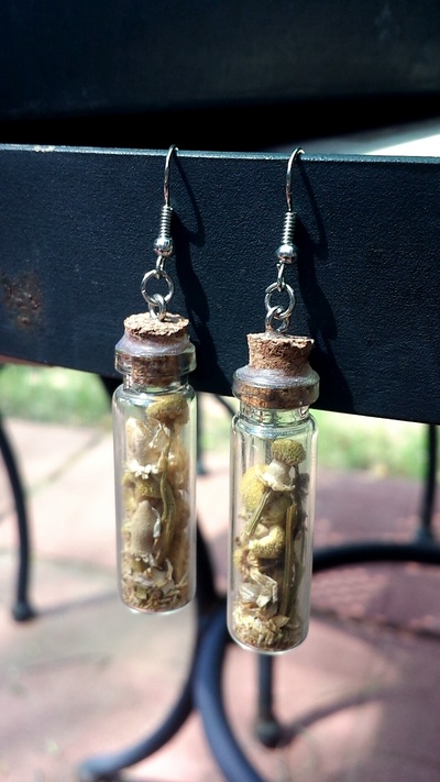Sweet Dreams earrings