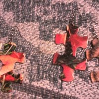 Pick Up the Pieces earrings - Thumbnail 1