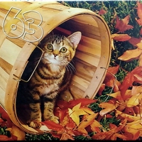 Pick Up the Pieces earrings - Thumbnail 3