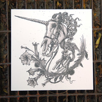 Datura  - Thumbnail 1