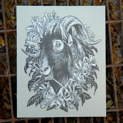 Feral awakening 