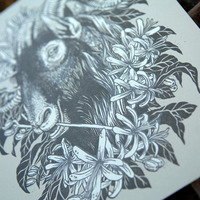 feral awakening  - Thumbnail 2