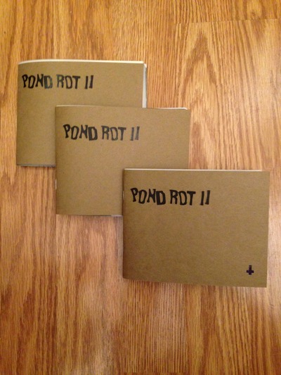 Pond Rot II