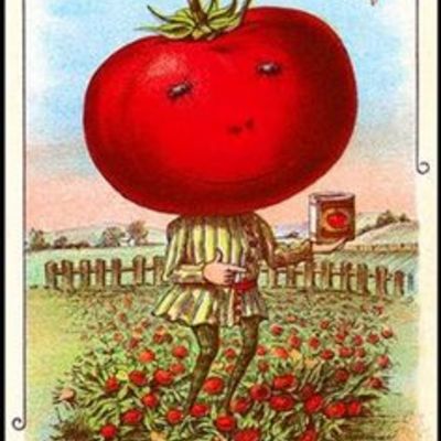 Tomato leaf corriander long burning hand dipped incense - Thumbnail 5