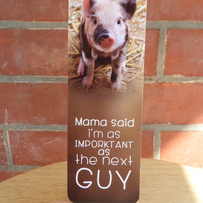 "mr. imporktant" 2x6 inch bookmark