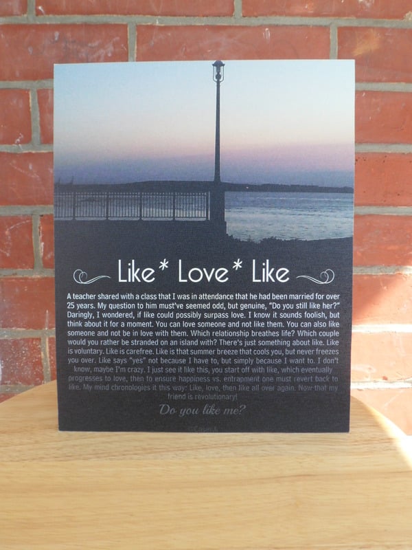 8 x 10" Canvas Mini - Like Love Like