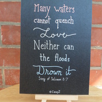 8x 10" Canvas Mini - Many Waters