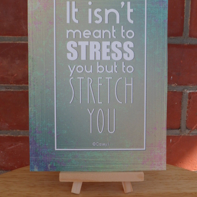 8x 10" canvas mini - stretch