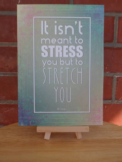 8x 10" Canvas Mini - STRETCH