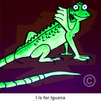 Iguana - Thumbnail 1
