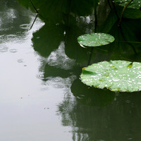 China Rain Long Burning Hand Dipped Incense - Thumbnail 1