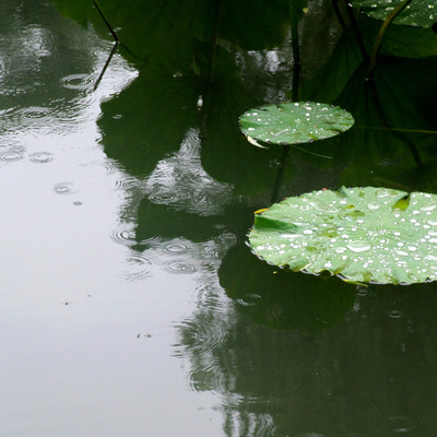China rain long burning hand dipped incense