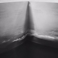 LAMENT CITYSCAPE The Torn [LP] - Thumbnail 1