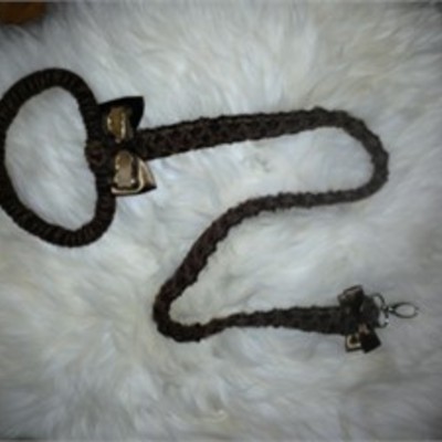 Pupscout fancy leash for girls