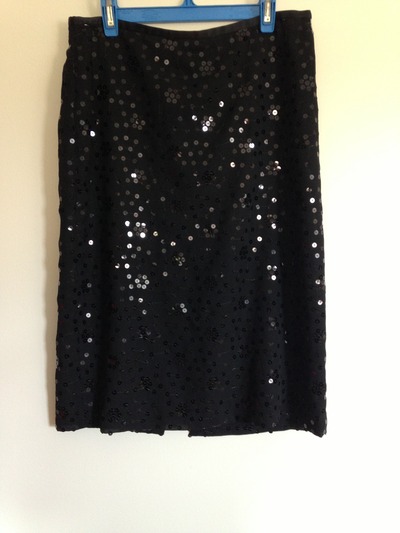 Sequin Skirt