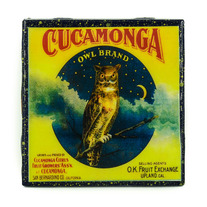 Cucamonga Owl Brand - Vintage Citrus Crate Label - Handmade Recycled Tile Coaster