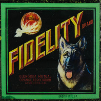 Fidelity Brand - Vintage Citrus Crate Label - Handmade Recycled Tile Coaster
