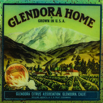 Glendora Home - Vintage Citrus Crate Label - Handmade Recycled Tile Coaster