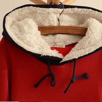 New Japanese Kawaii Girl Cat Face Tail Hooded Sweater - Thumbnail 3