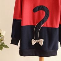 New Japanese Kawaii Girl Cat Face Tail Hooded Sweater - Thumbnail 4