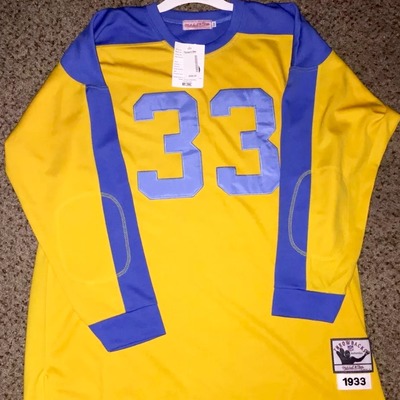 Philadelphia eagles 1933 throwback jersey