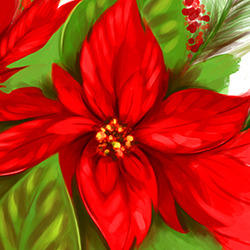 Poinsettias 2