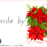 Poinsettias 2 - Thumbnail 2