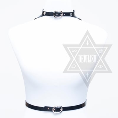 Wings harness