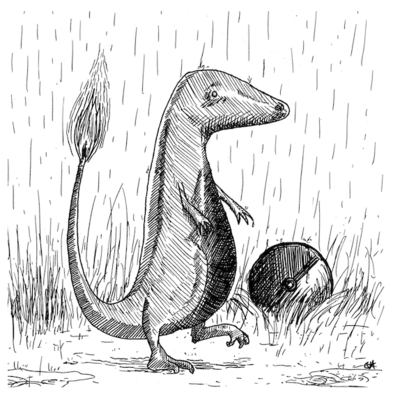 Charmander -- Gorey Pokemon Prints