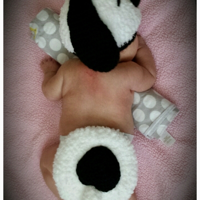 Fuzzy puppy photo prop