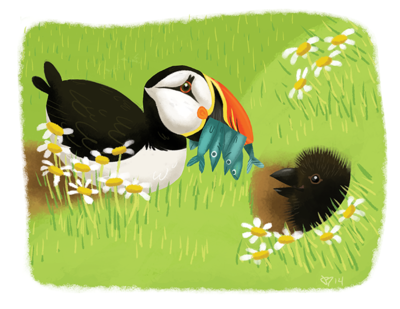Puffins Print