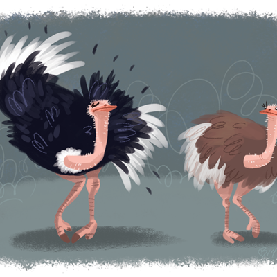 Feather dancer print