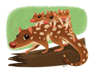 Quoll-mobile Print