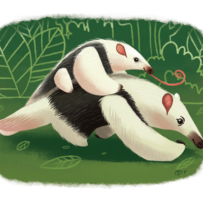 Tamandua rider print