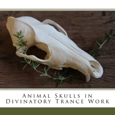 Skull scrying: animal skulls in divinatory trance book signed by lupa