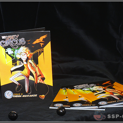 The sanity circus: issue #1