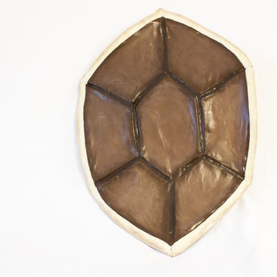 Turtle shell cosplay shield 