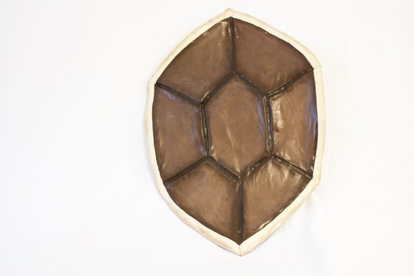 Turtle Shell Cosplay Shield 