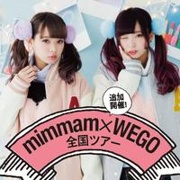 Pom Pom Ponytails (Set) - Thumbnail 2